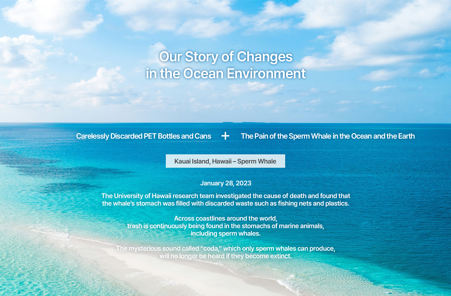 CODA Ocean Environment Change Story
