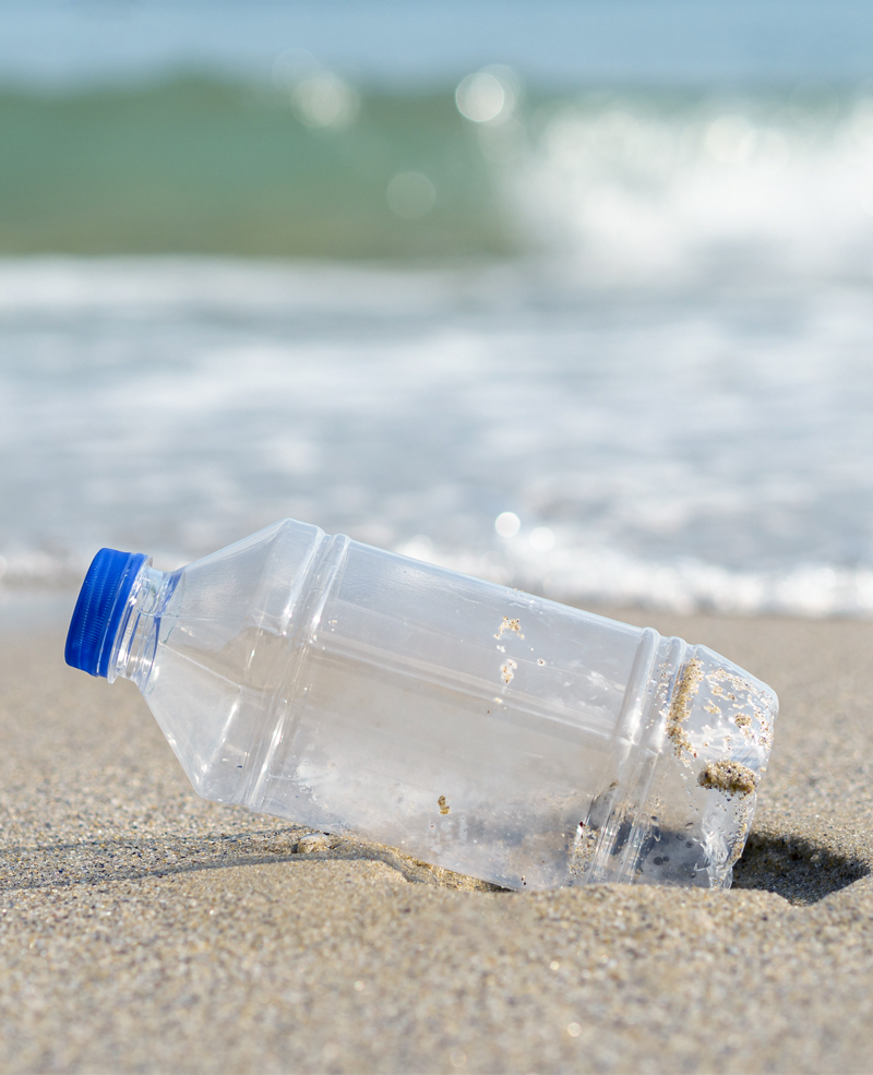 코다(CODA) 지구를 지키는 작은 시작